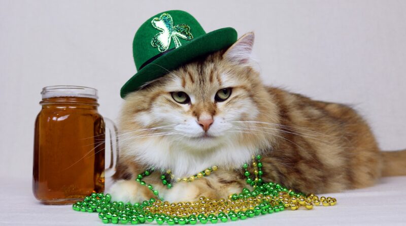 Golden Siberian cat dressed up in a green hat and golden beads for St. Patrick's Day
